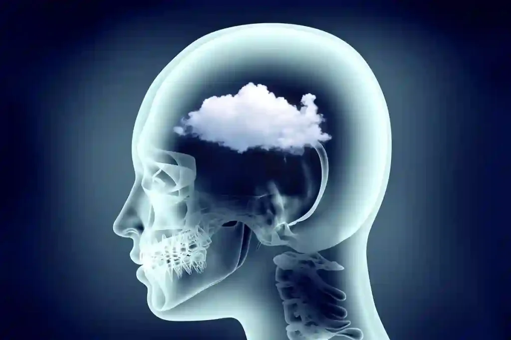 From Bloating to Brain Fog: Understanding How Menopause Transforms a Woman’s Body and Mind 1 How Improving Gut Health Can Help Clear Brain Fog