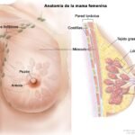Descubre estos dos tratamientos esenciales para las úlceras mamarias que todas las mujeres deben conocer.