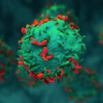 El crecimiento de la terapia con células T en el tratamiento del linfoma ofrece una nueva estrategia