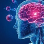 Los científicos han descubierto que promover las células inmunes del cerebro puede mejorar el tratamiento de Alzheimer. Este descubrimiento abre nuevas vías para la intervención médica que se dirige al sistema inmunitario a combatir las enfermedades neurodenativas. (NewsNow.com)