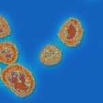 Nigeria ha reportado 95 muertes en 12 estados y 509 casos de fiebre de Lassa. Las autoridades de salud están intensificando los esfuerzos para controlar los brotes y evitar una mayor transmisión. (NewsNow.com)