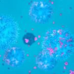 Una nueva clase de moléculas para el tratamiento estándar de células cancerosas