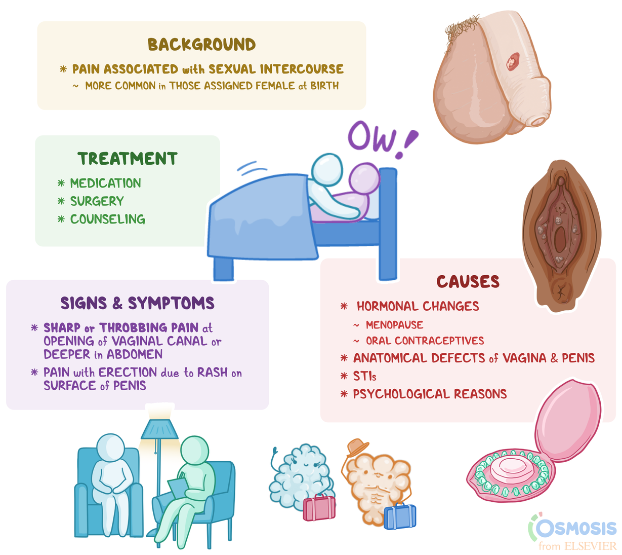 Vaginal Dryness, Painful Intercourse, and UTIs: Understanding the Connection